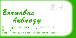 barnabas ambrozy business card